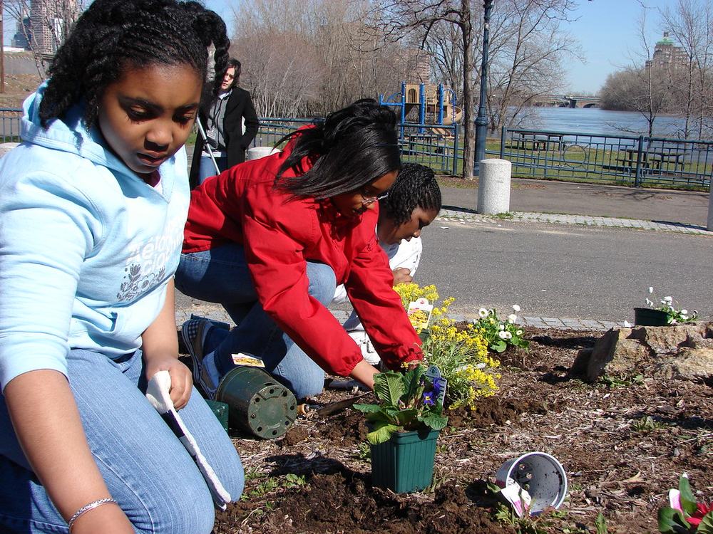 Volunteers kneel in a roadside bed, setting flowers into the soil.